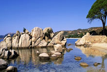 火箭客场逆转国王,全队发挥出色力挽狂澜