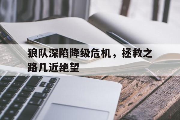 开云体育在线登录-狼队深陷降级危机，拯救之路几近绝望的简单介绍